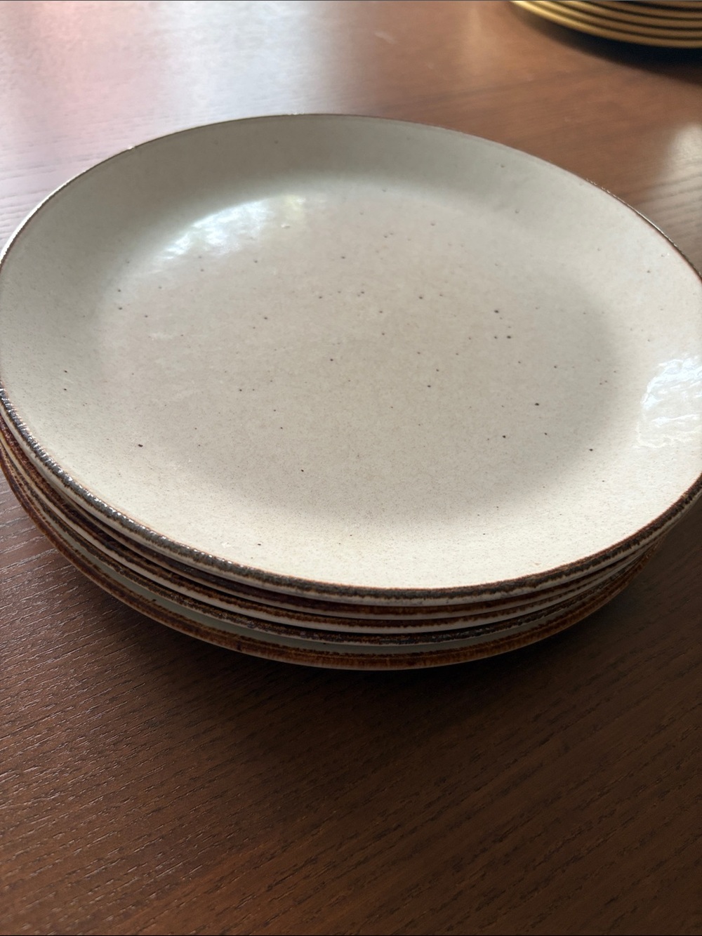 VTG J&G MEAKIN - LIFESTYLE - Speckled Stoneware Dinner Plates (set of 5) - Picture 10 of 10